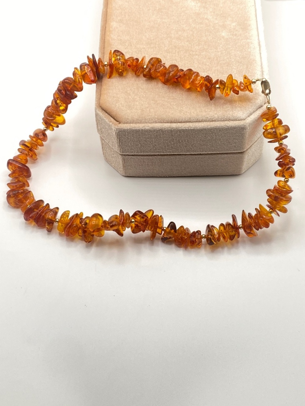 Rare Baltic Amber Insect 14k GF Clasp Botanical Real With Inclusions Necklace